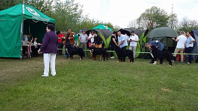 XXV Międzynarodowa Wystawa Psów Rasowych - Łódź, International Dog Show - Łódź, 14.05.2017